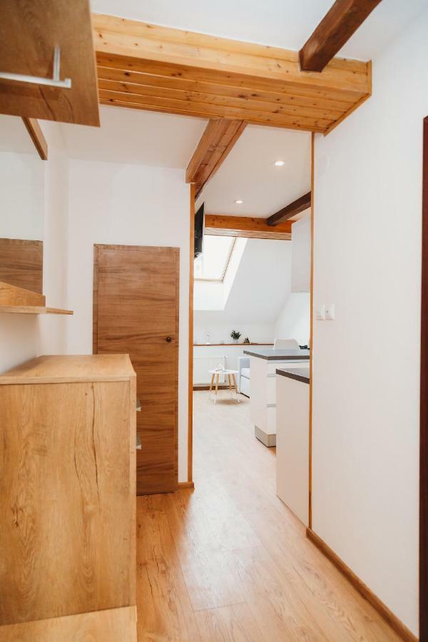 Center City Charming Loft Apartment Kosice Exterior photo